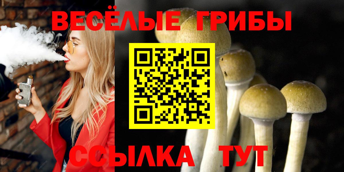 Галлюциногенные грибы прущие грибы  Псилоцибиновые грибы Psilocybe  Вход с VPN  Донской 